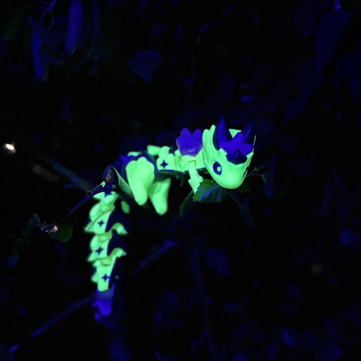 ✨ Introducing the Glow-in-the-Dark Baby Star Dragon ✨