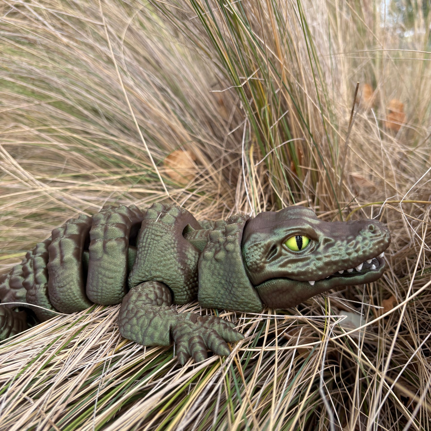 🐊 Adopt Your New Baby Alligator BFF ! 🐊