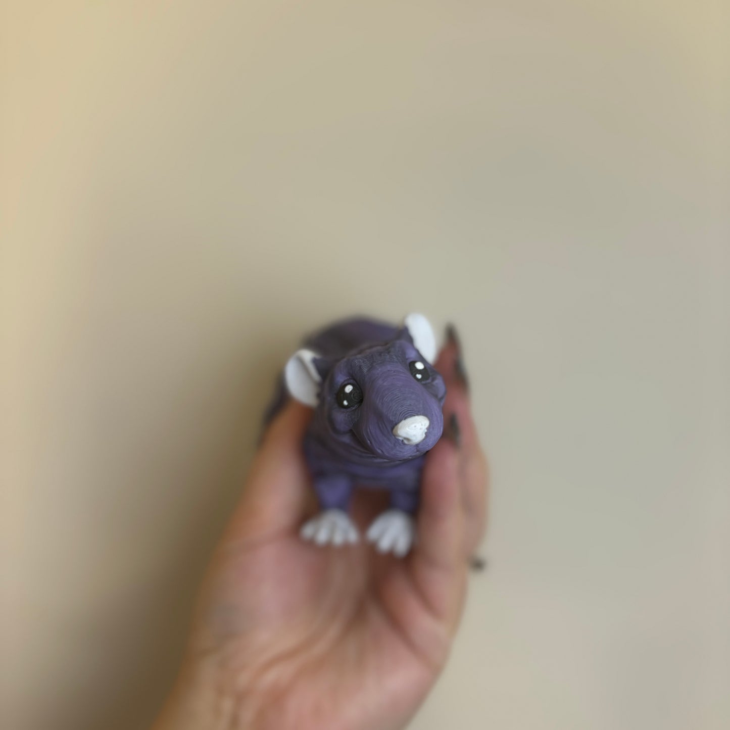 🐀 Adopt a Cheeky baby Rat Today! 🐀