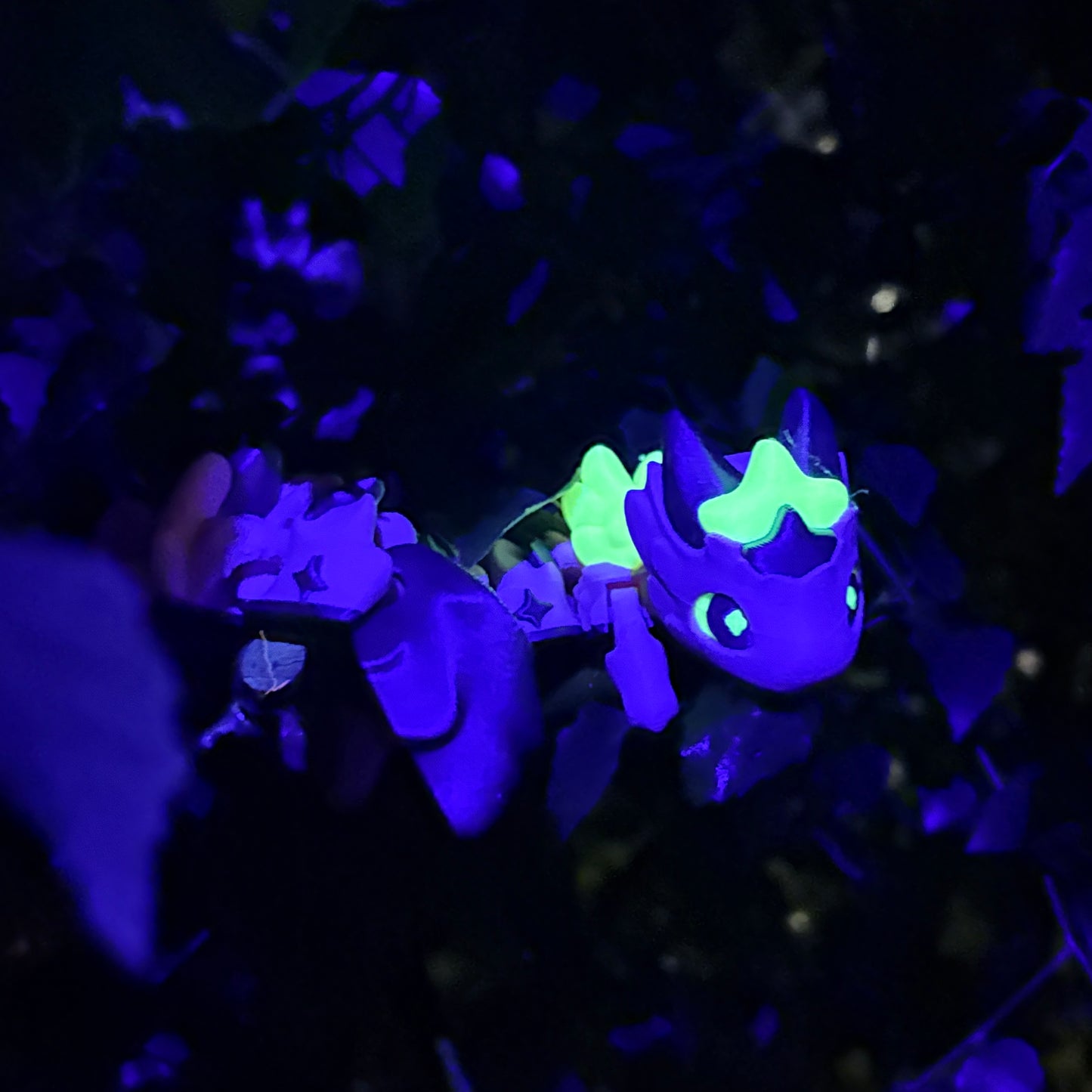 ✨ Introducing the Glow-in-the-Dark Baby Star Dragon ✨