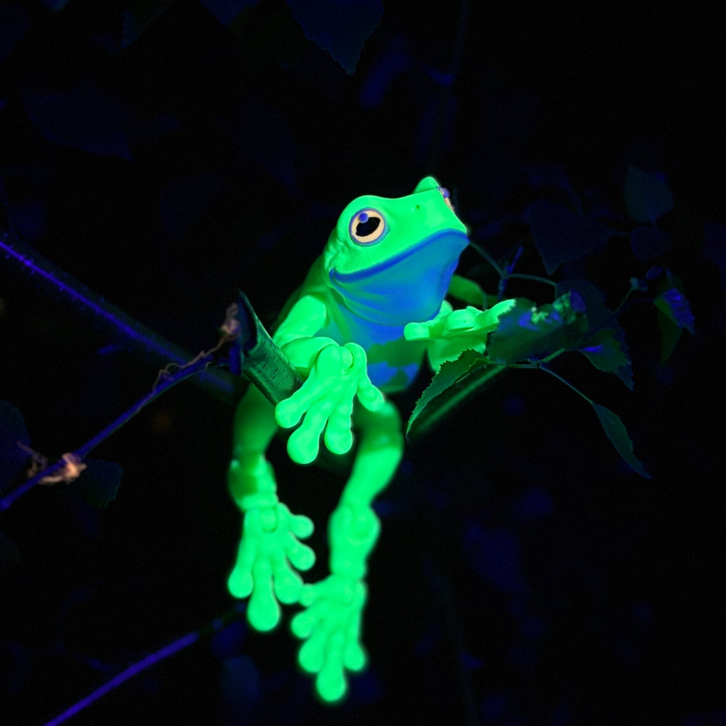 🐸Introducing our Glow-in-the-Dark Green Tree Frog! 🐸