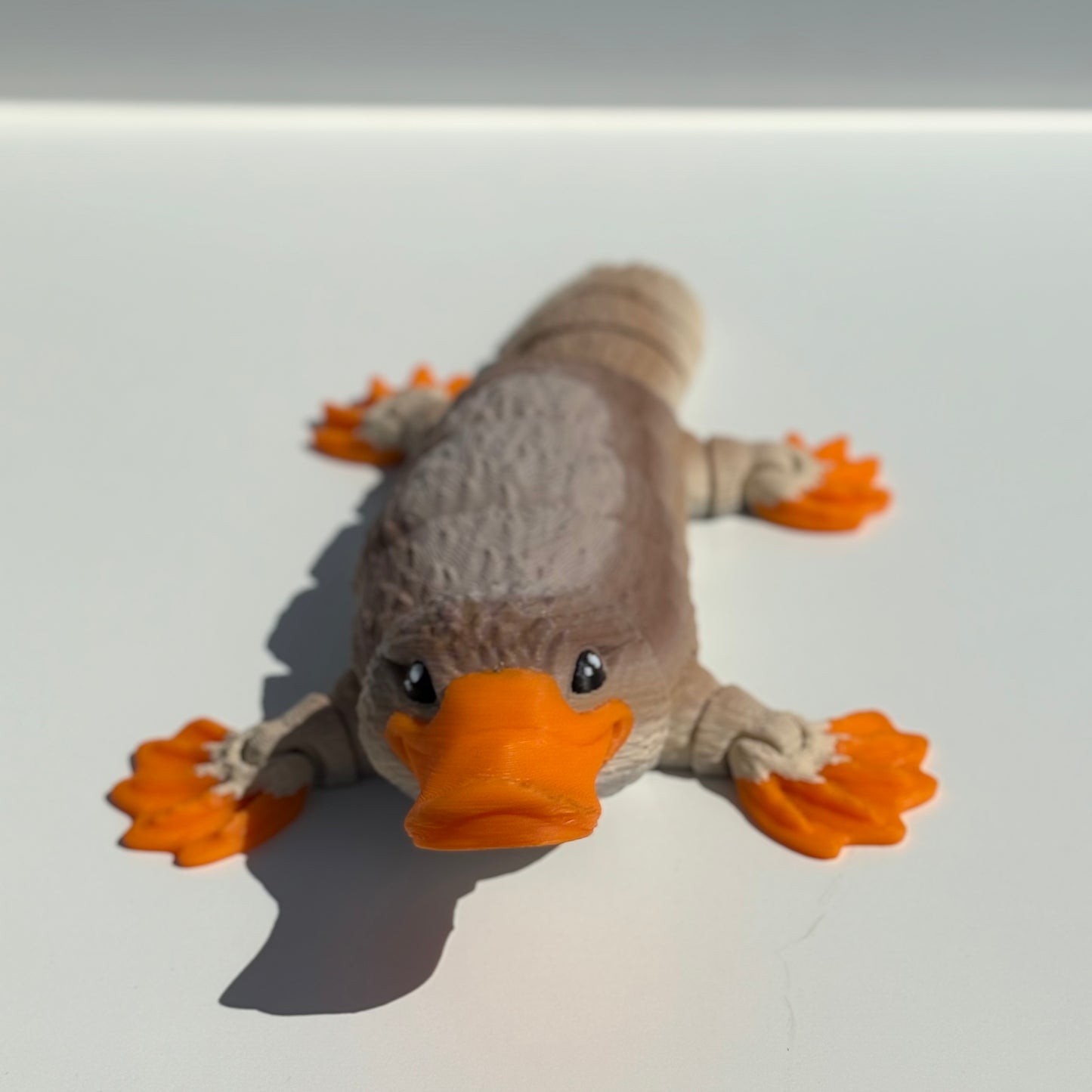 Meet Perry The Platypus – A Quirky and Unique Animal Companion!