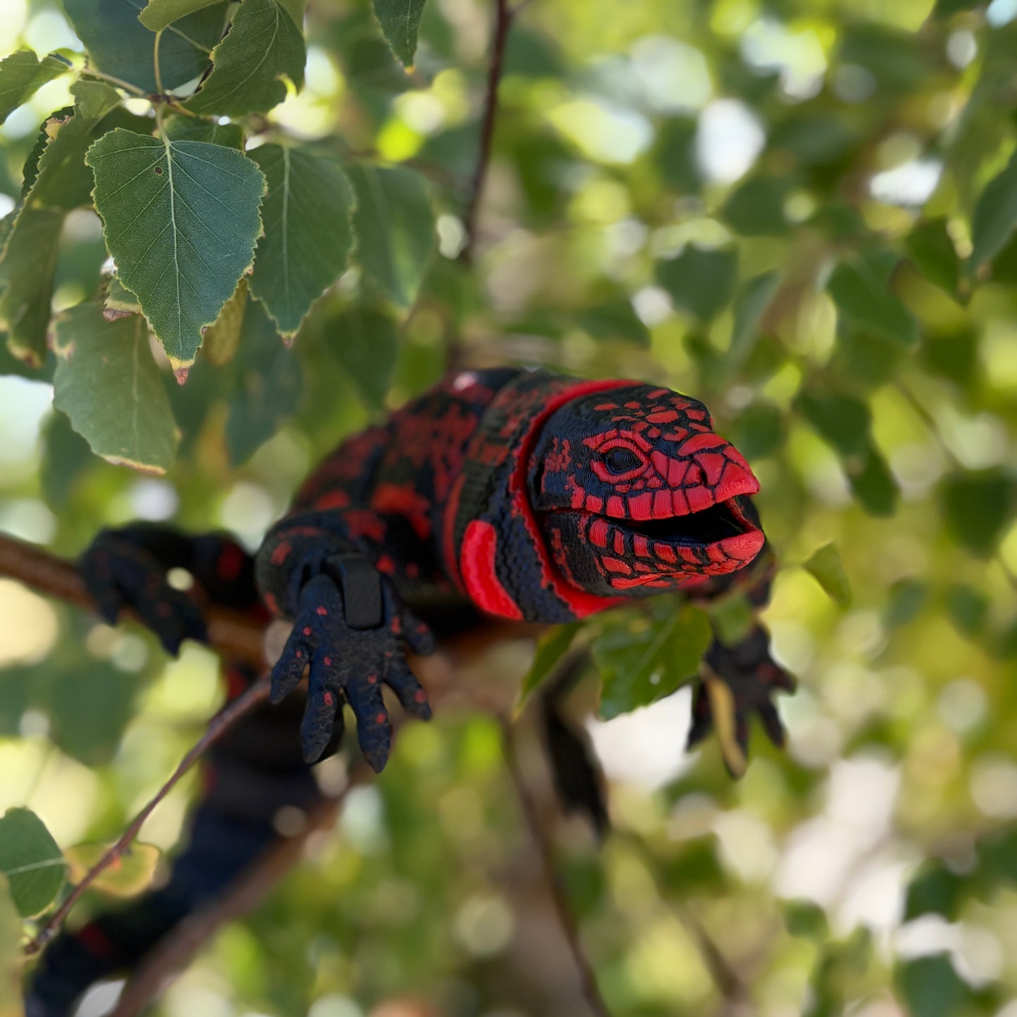 Tegu Lizard – Red & Black, 44cm of Jaw-Dropping Realism!