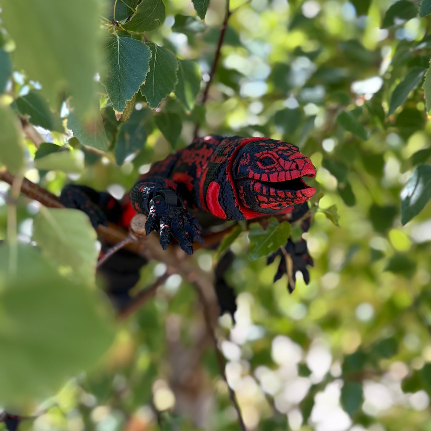 Tegu Lizard – Red & Black, 44cm of Jaw-Dropping Realism!